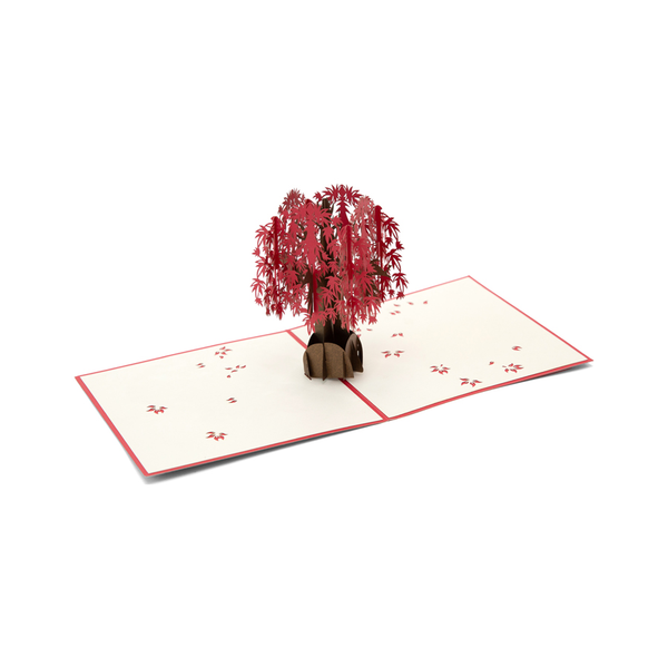 Maple Tree Pop Up Card