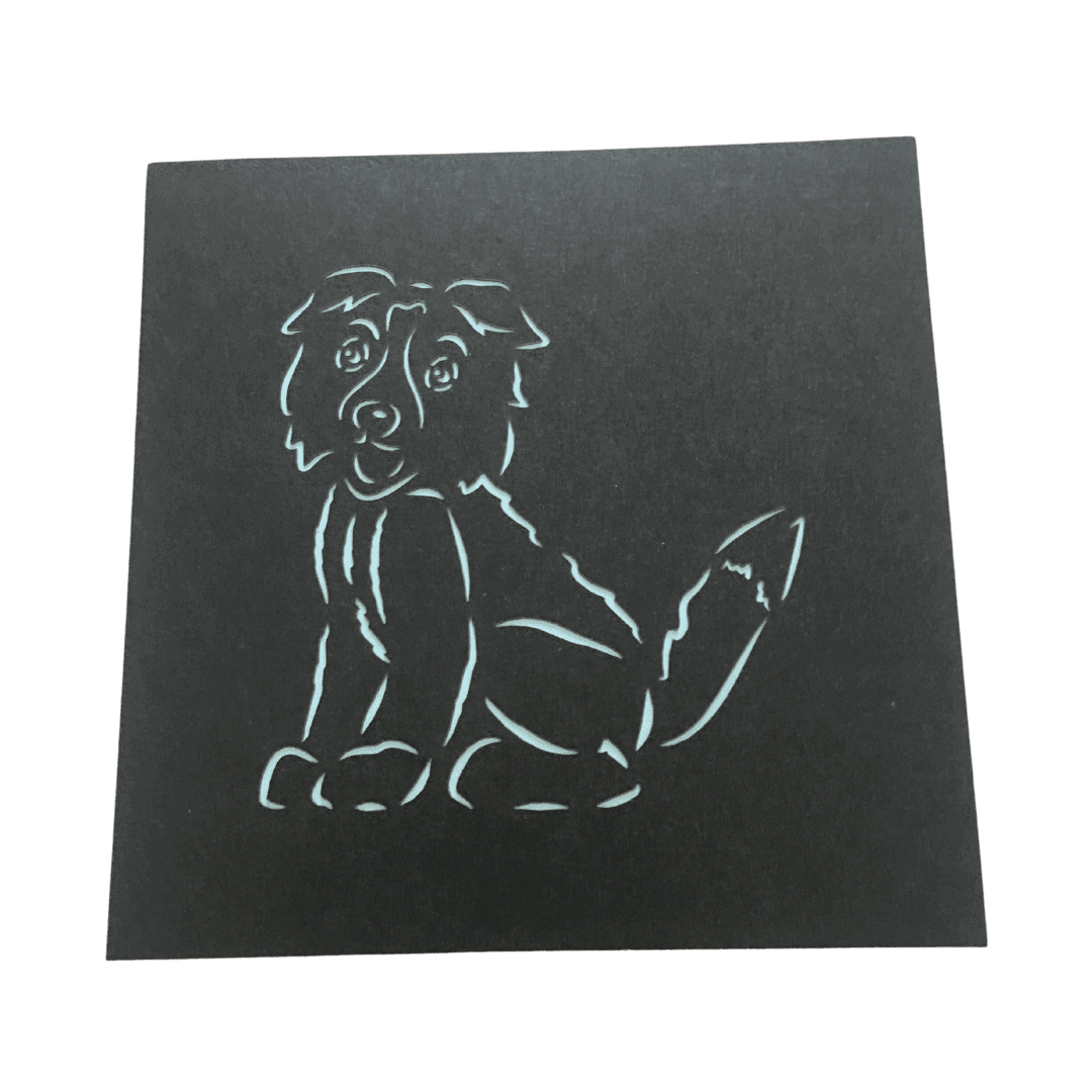 Border Collie Dog - Abra Cards