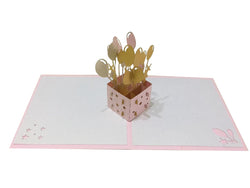 Balloon Box Pink (Metallic) - Abra Cards