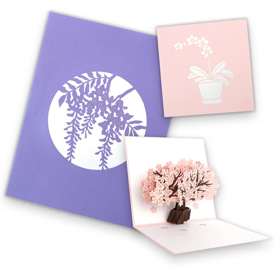 Blossoms in Bloom: Floral Collection - Abra Cards