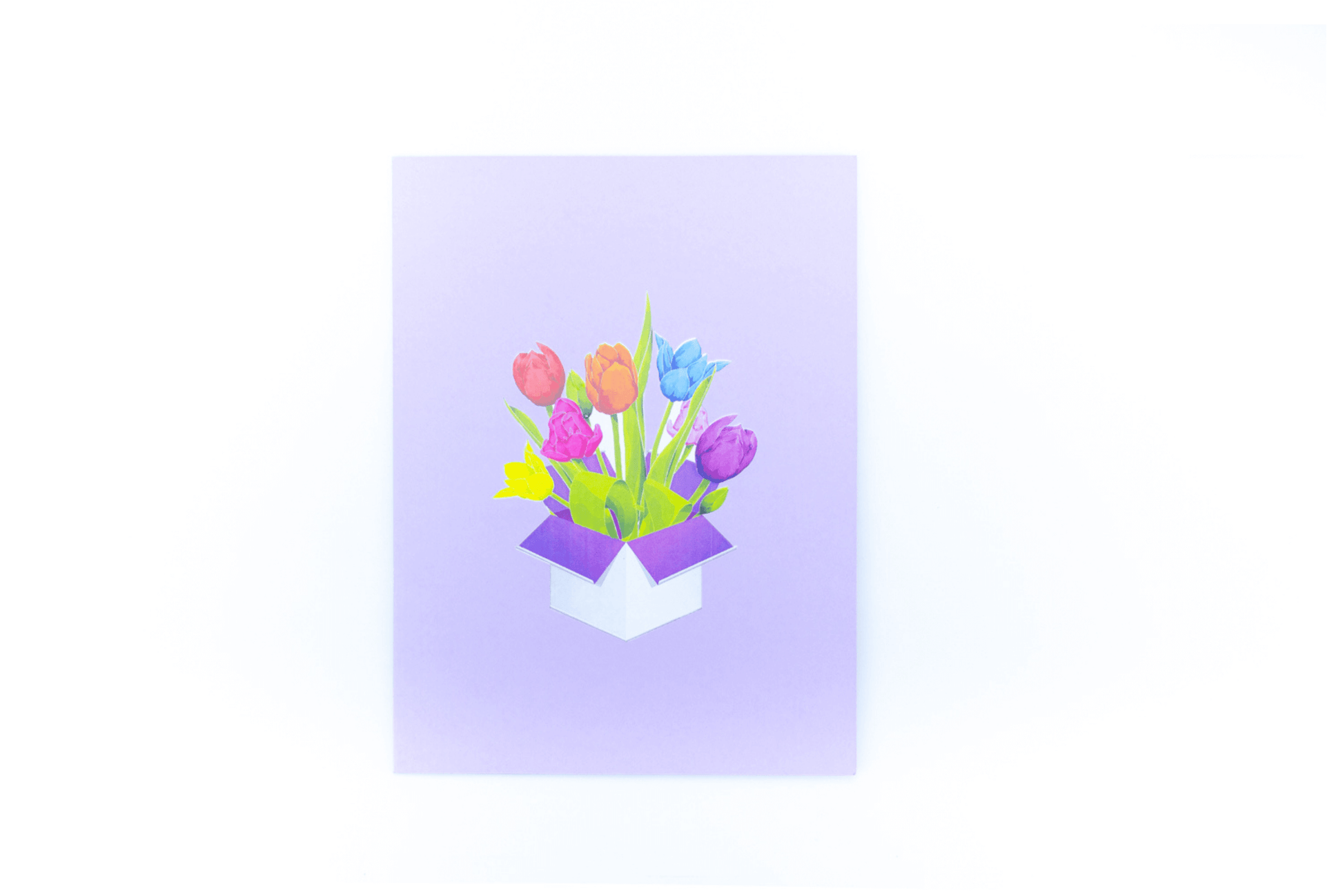 Tulip Multicoloured - Abra Cards