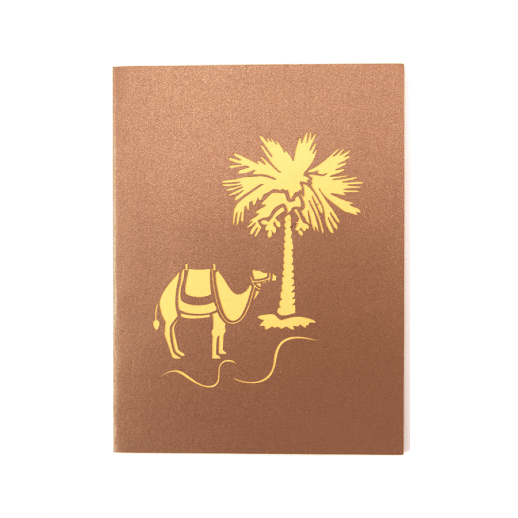 Desert Scene Pop Up Card