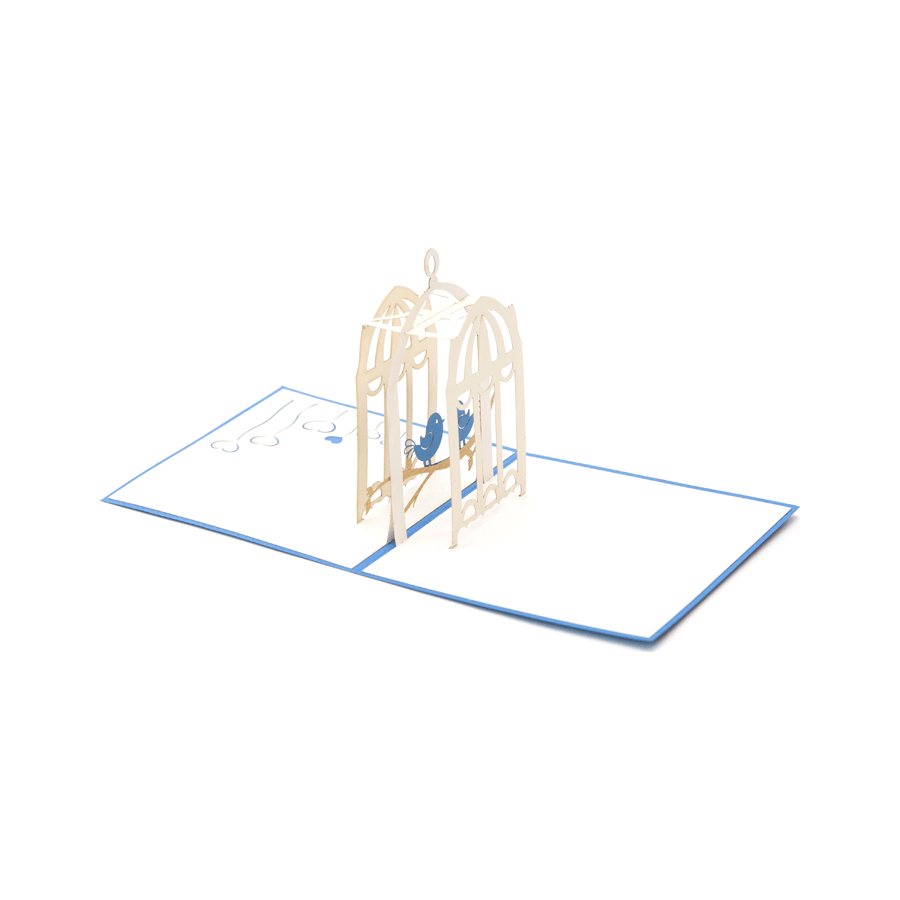 Lovebirds Pop Up Anniversary Card - Abra Cards