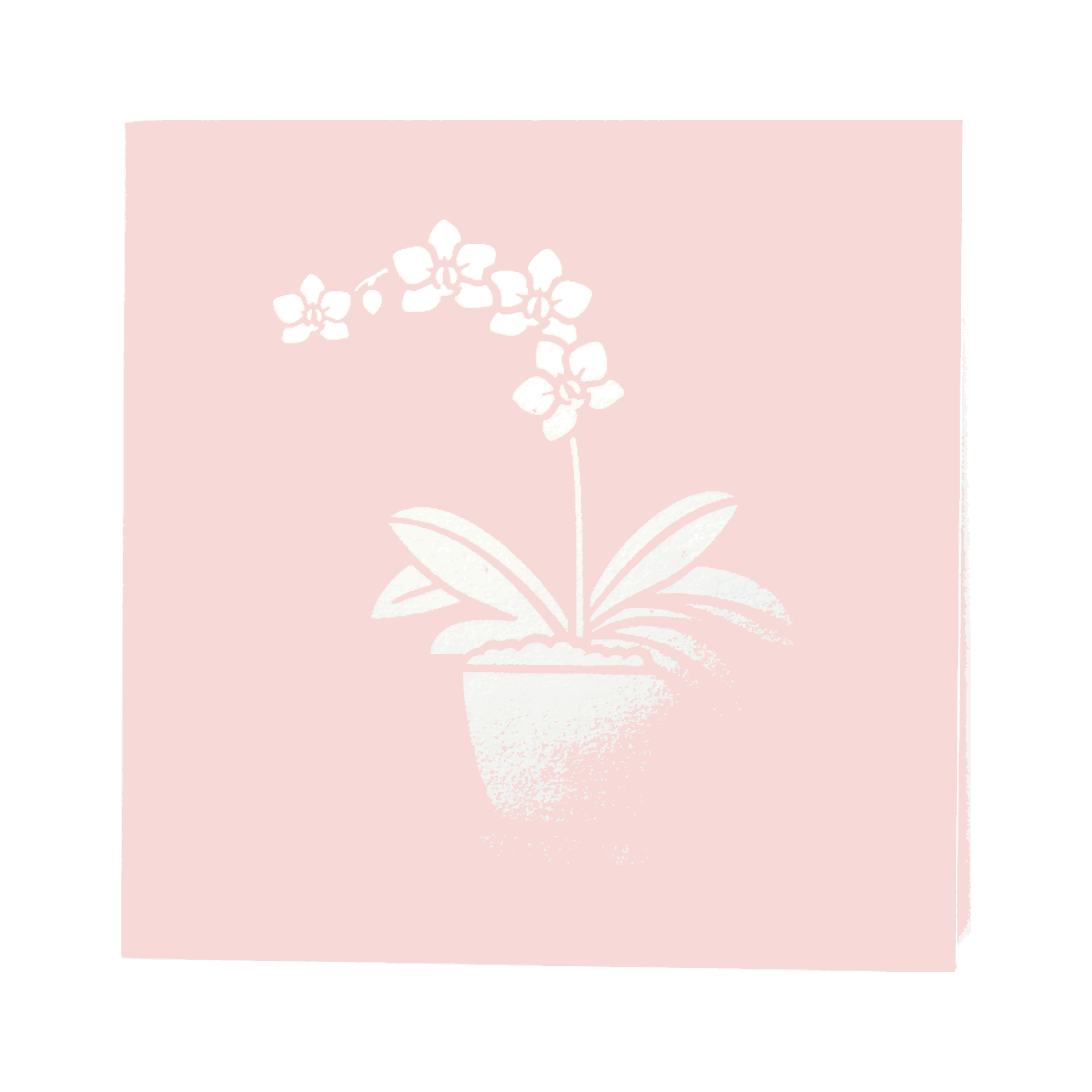Pop Up Orchid Card