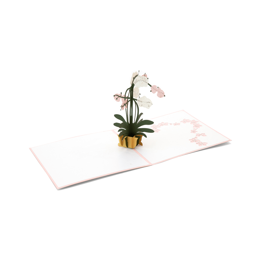 Orchid Pop Up Card - Floral Greeting Gift