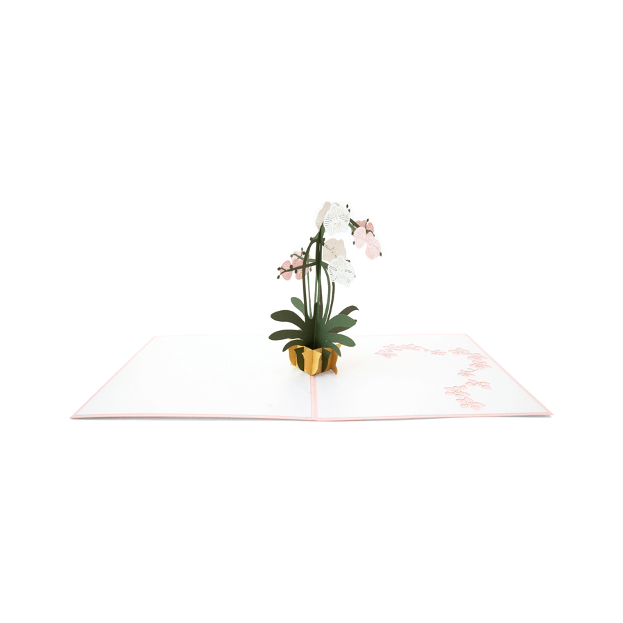 Orchid Pop Up Card - Floral Greeting Gift