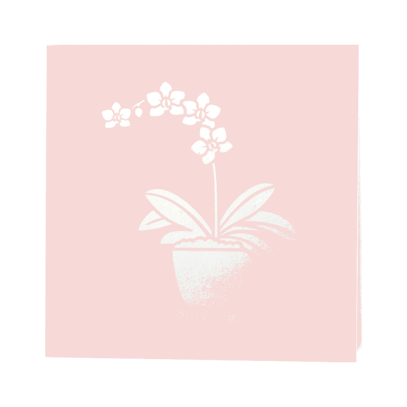 Pop Up Orchid Card