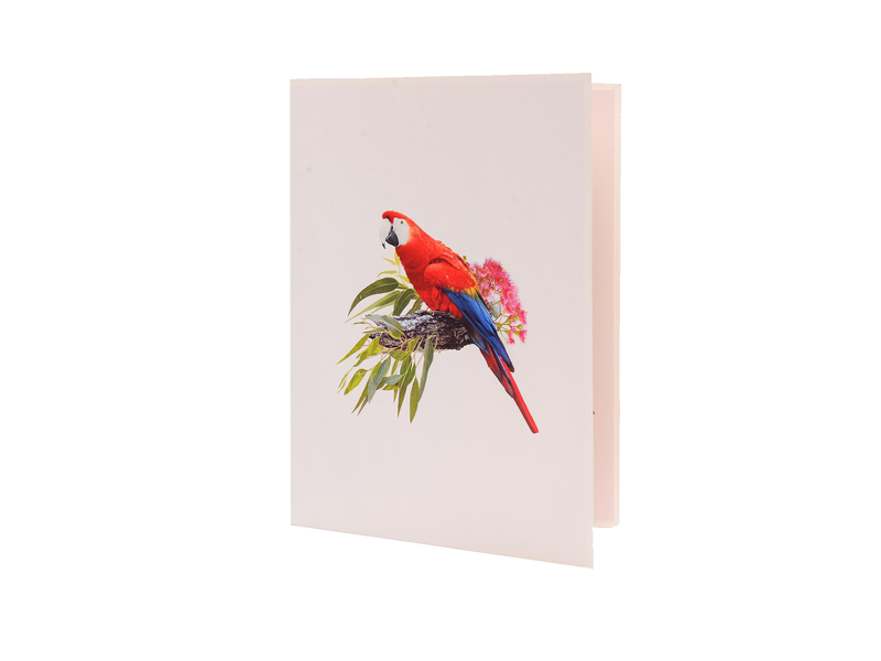 Pop Up Bird Card