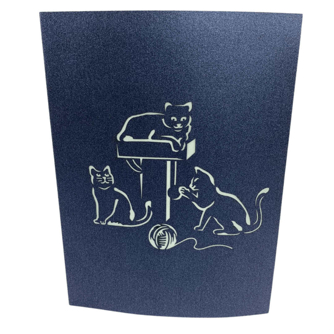 Cats Playing - Abra Cards