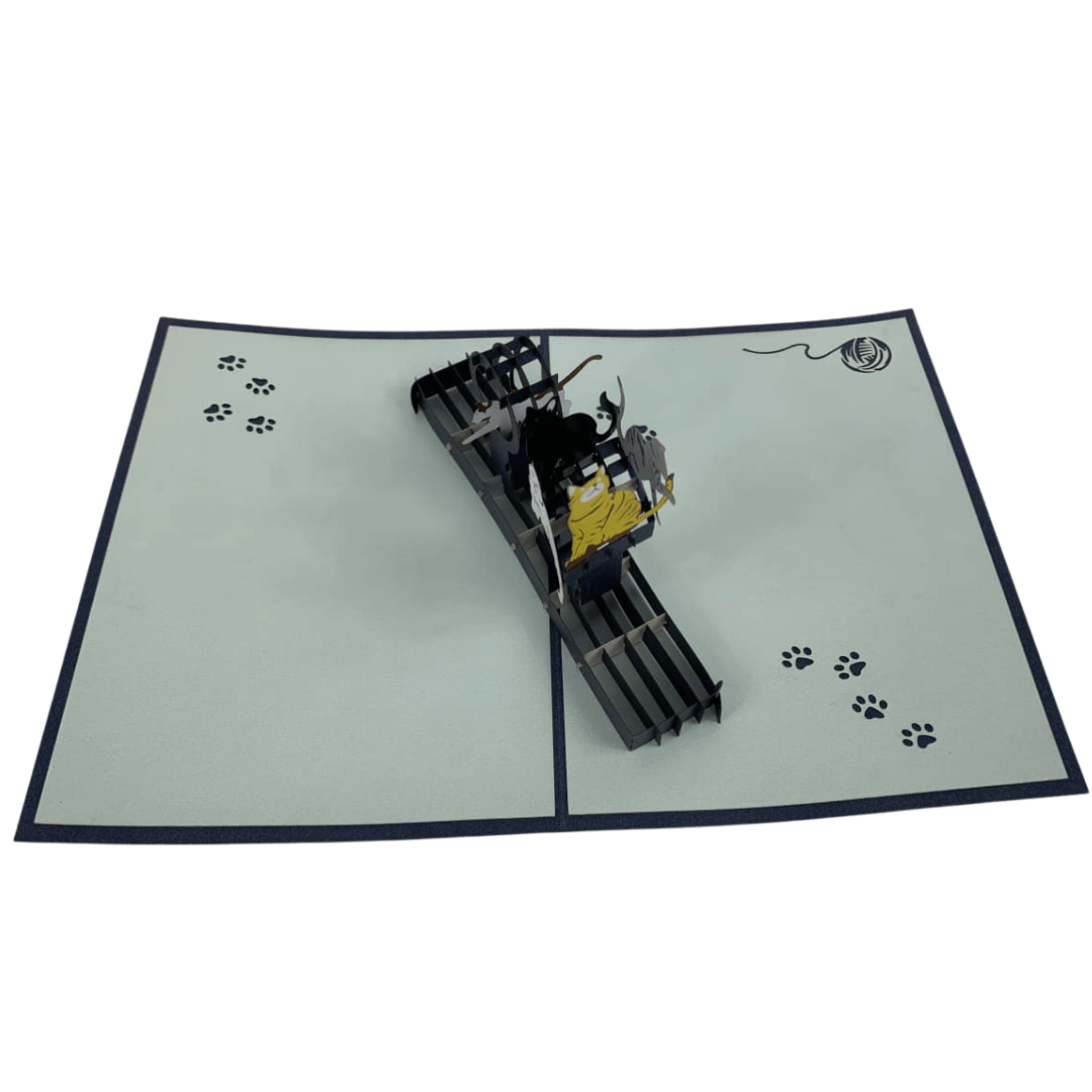 Cats Playing - Abra Cards