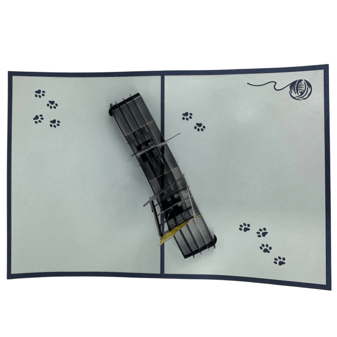Cats Playing - Abra Cards