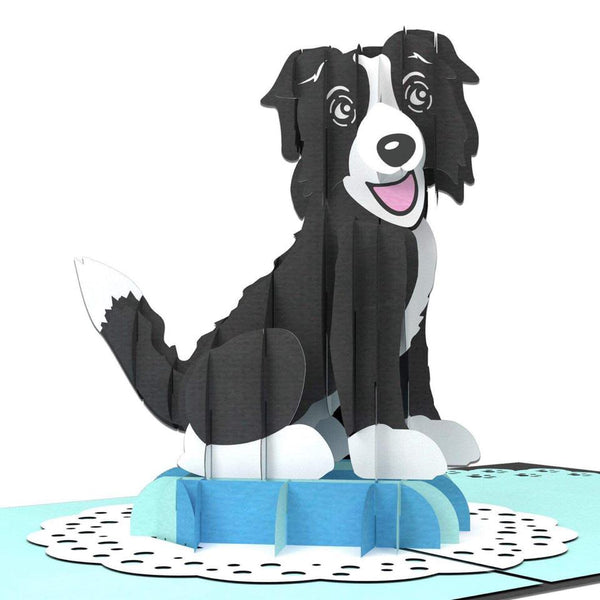 Puppy Pop Up Card, Border Collie Dog