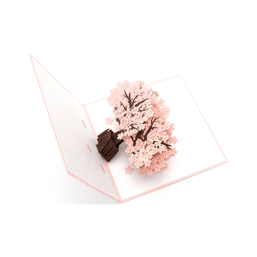 Cherry Blossom Pop Up Card - Floral Greeting