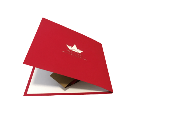 Christmas Penguin Pop Up Card - Holiday Gift