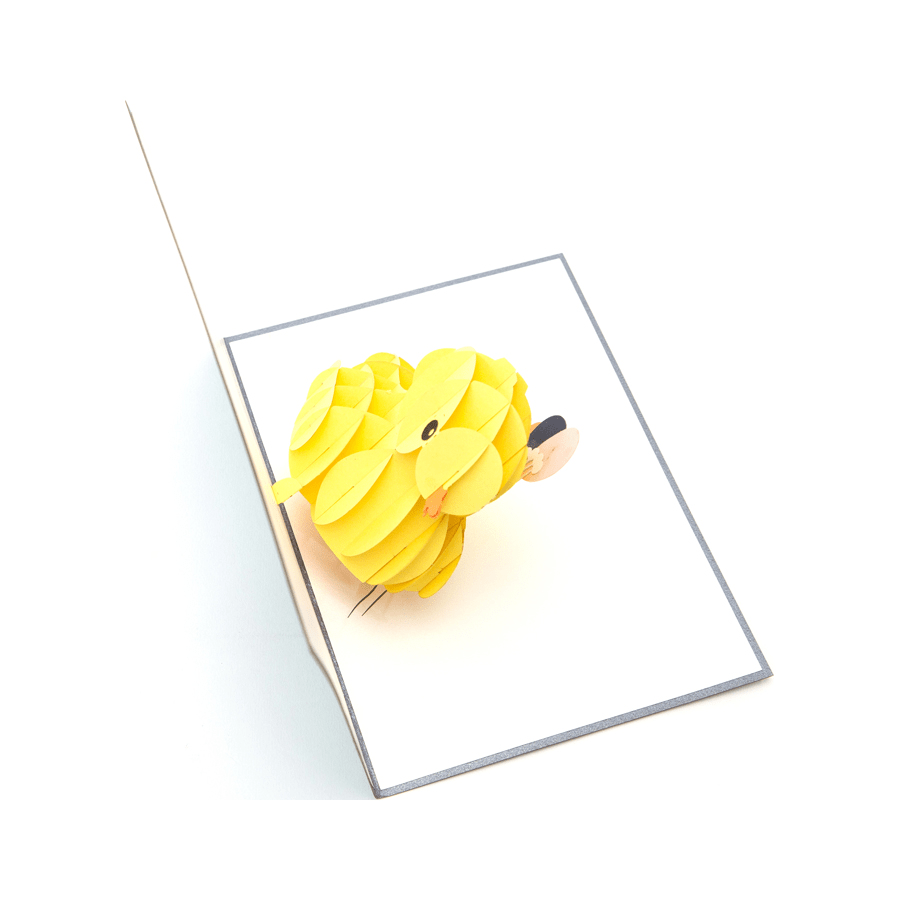 Duck with Balloons - Abra Cards