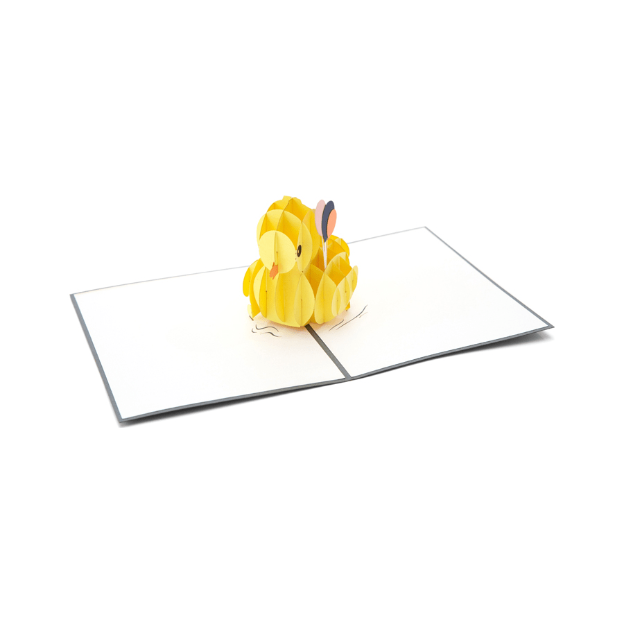 Duck with Balloons - Abra Cards